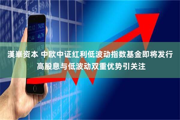 漢崋资本 中欧中证红利低波动指数基金即将发行 高股息与低波动双重优势引关注