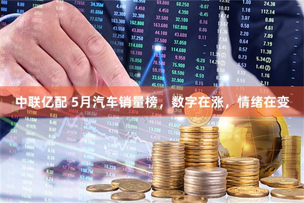 中联亿配 5月汽车销量榜，数字在涨，情绪在变