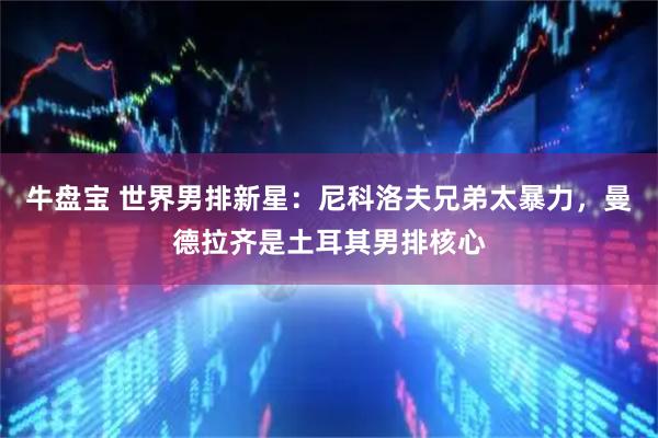 牛盘宝 世界男排新星：尼科洛夫兄弟太暴力，曼德拉齐是土耳其男排核心