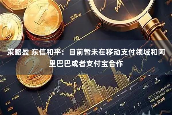 策略盈 东信和平：目前暂未在移动支付领域和阿里巴巴或者支付宝合作