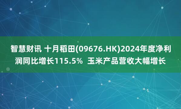 智慧财讯 十月稻田(09676.HK)2024年度净利润同比增长115.5%  玉米产品营收大幅增长