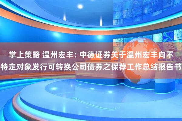 掌上策略 温州宏丰: 中德证券关于温州宏丰向不特定对象发行可转换公司债券之保荐工作总结报告书