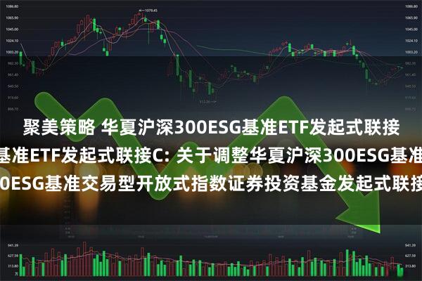 聚美策略 华夏沪深300ESG基准ETF发起式联接A,华夏沪深300ESG基准ETF发起式联接C: 关于调整华夏沪深300ESG基准交易型开放式指数证券投资基金发起式联接基金基金经理的公告